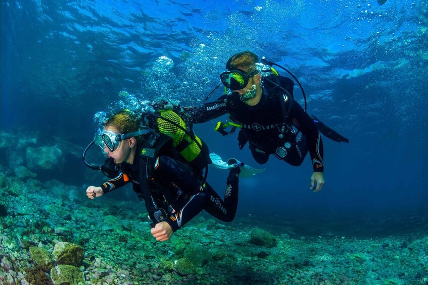 Picture 2 for Activity Santa Cruz de Tenerife: Beginner's Diving & Introduction