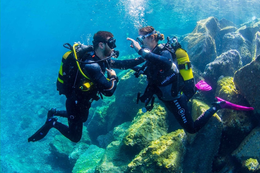 Picture 4 for Activity Santa Cruz de Tenerife: Beginner's Diving & Introduction