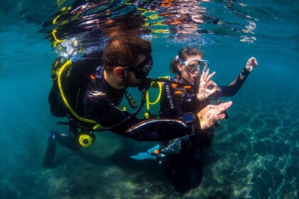 Santa Cruz de Tenerife: Buceo para Principiantes e Introducción