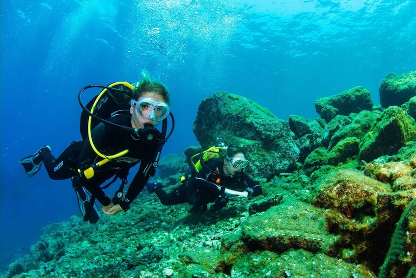 Picture 3 for Activity Santa Cruz de Tenerife: Beginner's Diving & Introduction