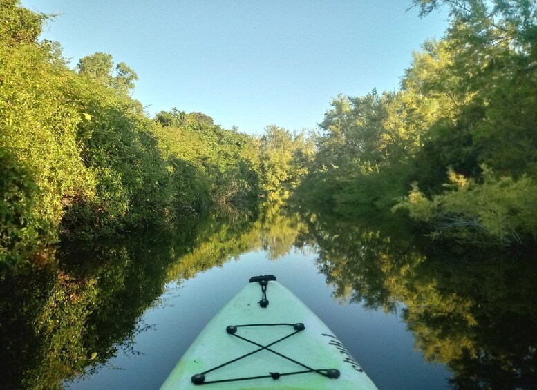 Picture 8 for Activity Orosei: Guided Kayak Tour of the Biderosa Oasis at Sunset