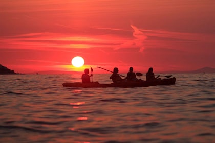 Insel Brac: 3-stündiges Kajak-Erlebnis bei Sonnenuntergang