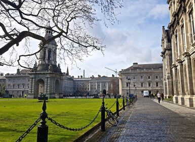 Gems of Dublin - Walking Tour for Seniors