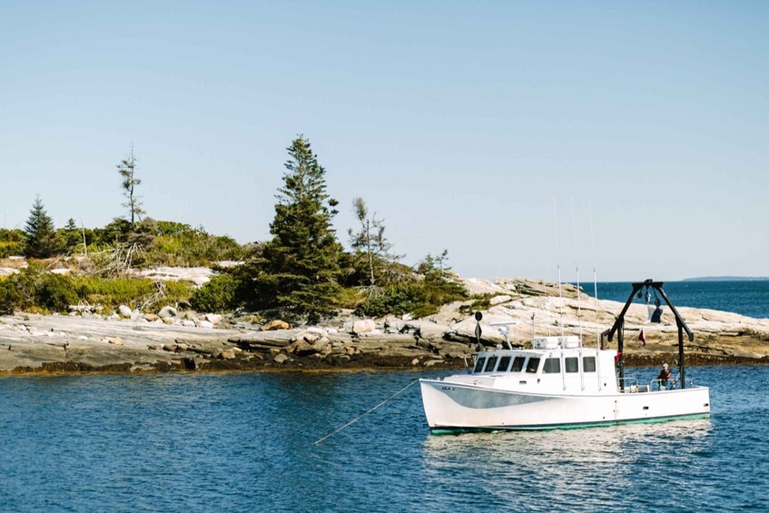 Picture 2 for Activity Boothbay Harbor: Pemaquid Point & John's Bay Cruise