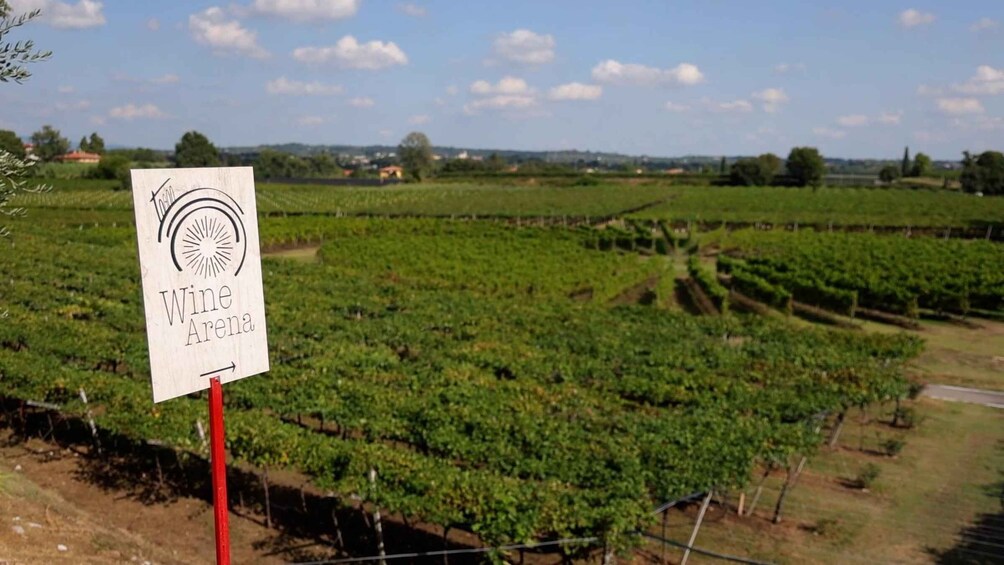 Picture 14 for Activity Lazise: Winery Tour with Garda Wines and Food Tasting
