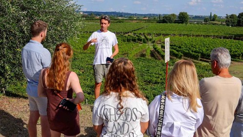 Lazise: Kellertour mit Gardaseeweinen und Verkostung