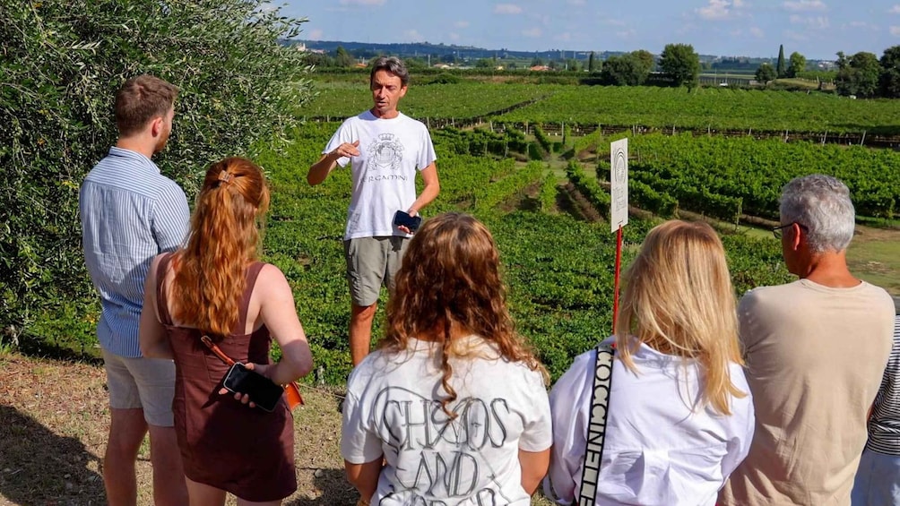 Picture 10 for Activity Lazise: Winery Tour with Garda Wines and Food Tasting