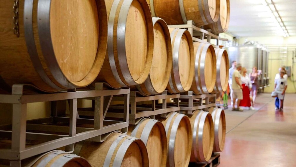 Picture 3 for Activity Lazise: Winery Tour with Garda Wines and Food Tasting