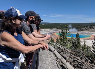 Von West Yellowstone aus: Lower Loop Active Van Tour
