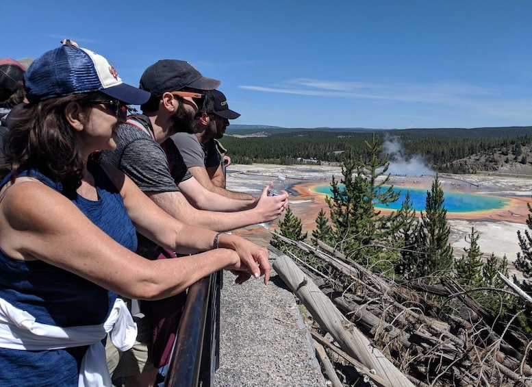 From West Yellowstone: Lower Loop Active Van Tour