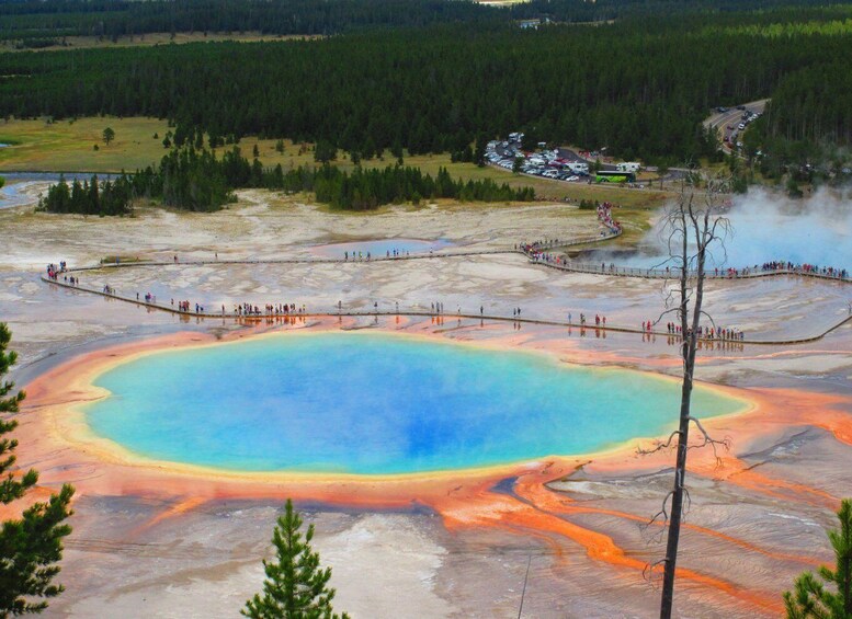 Picture 6 for Activity From West Yellowstone: Lower Loop Active Van Tour