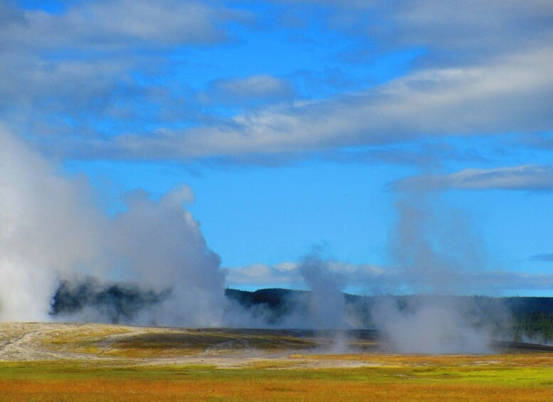 Picture 5 for Activity From West Yellowstone: Lower Loop Active Van Tour