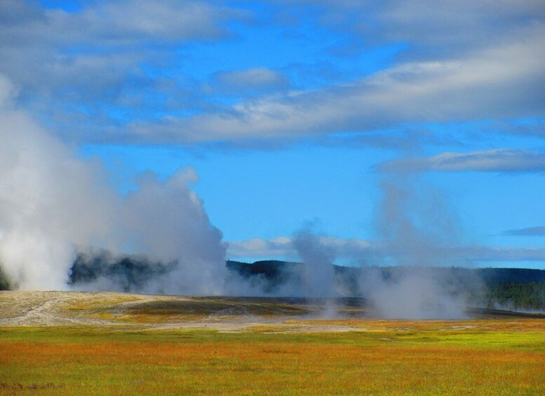 Picture 5 for Activity From West Yellowstone: Lower Loop Active Van Tour