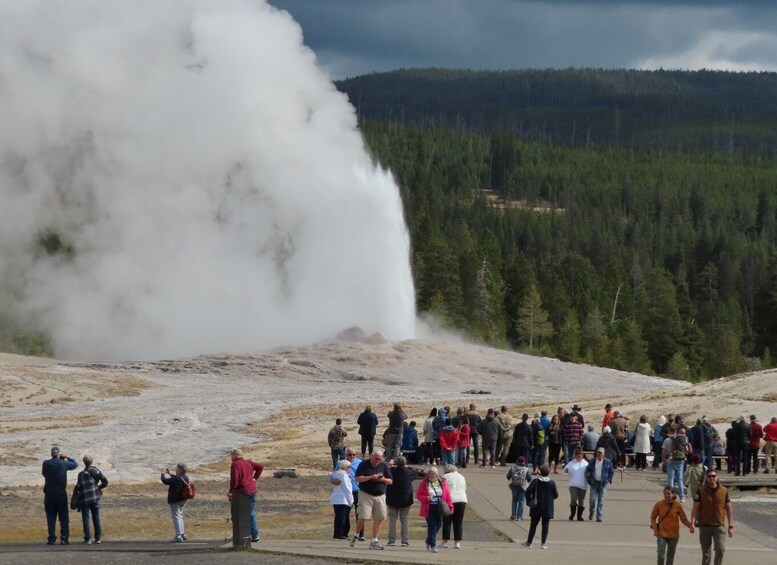 Picture 4 for Activity From West Yellowstone: Lower Loop Active Van Tour