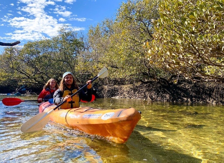 Picture 7 for Activity Adelaide: Dolphin Sanctuary Mangroves Kayak Tour