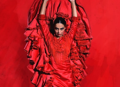 Sevilla: Entrada Espectáculo de Baile Flamenco en Vivo en el Teatro