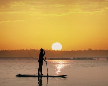 Abu Dhabi: Tour di stand-up paddle nelle mangrovie
