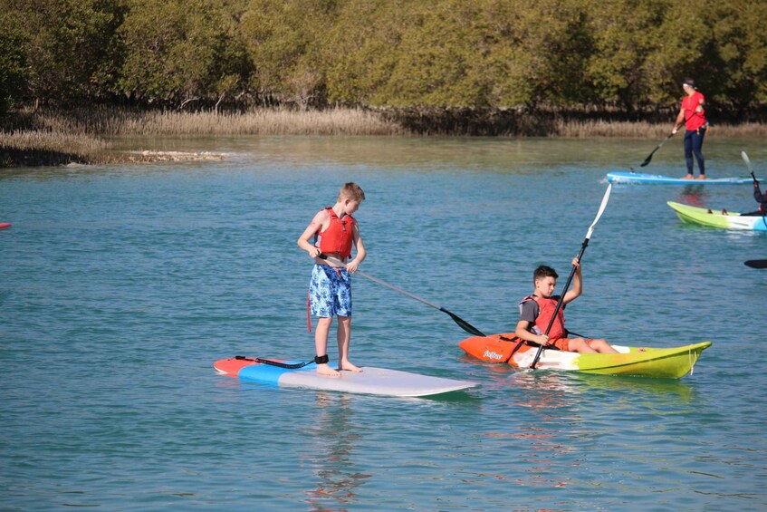 Picture 4 for Activity Abu Dhabi: Stand-Up Paddle Tour in the Mangroves