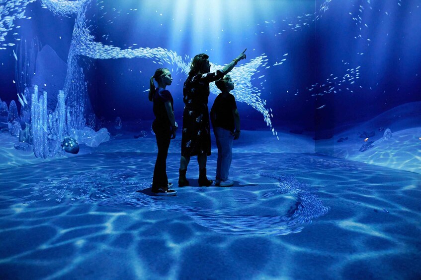 Picture 2 for Activity Rotterdam: "Remastered" Digital Art Audiovisual Experience