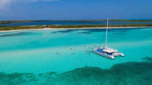 Cozumel: Cozelum: El Cielo, Palancar Reef ja Beach Party ruokineen