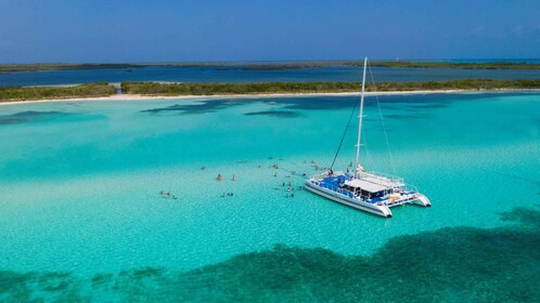 Cozumel: El Cielo, Arrecife Palancar y Fiesta en la Playa con Comida