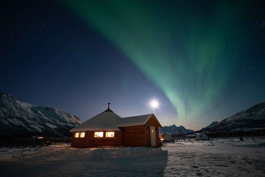 Picture 1 for Activity Tromsø: Reindeer Feeding & Chance of Northern Lights Viewing