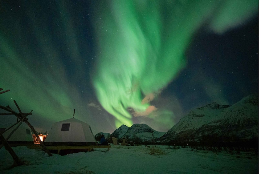 Picture 3 for Activity Tromsø: Reindeer Feeding & Chance of Northern Lights Viewing