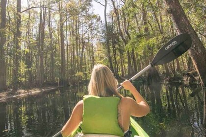 Orlando: Shingle Creek Guided Kayak Tour with Picnic Lunch
