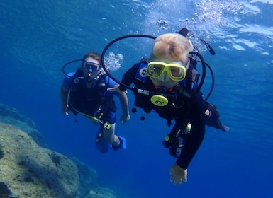 Chypre : Leçon d’introduction à la plongée sous-marine et plongée avec tran...