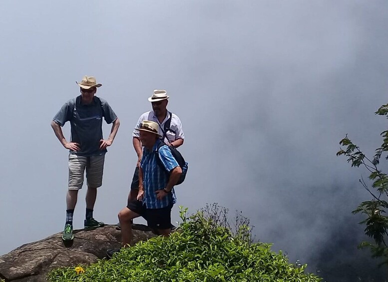 Picture 1 for Activity Tea Plantations By Tuk Tuk & Diyaluma Waterfall with Picnic