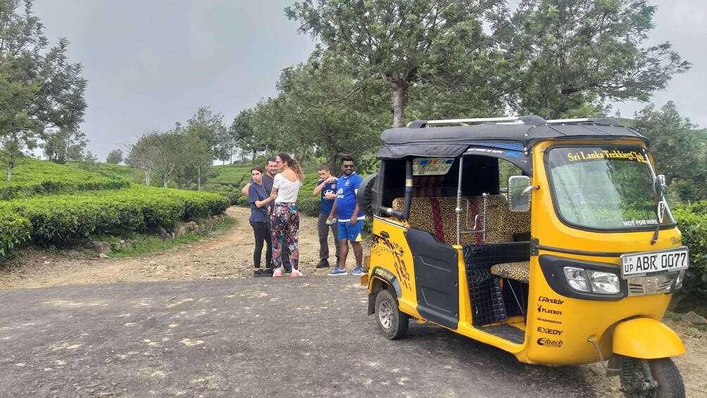 Picture 9 for Activity Tea Plantations By Tuk Tuk & Diyaluma Waterfall with Picnic