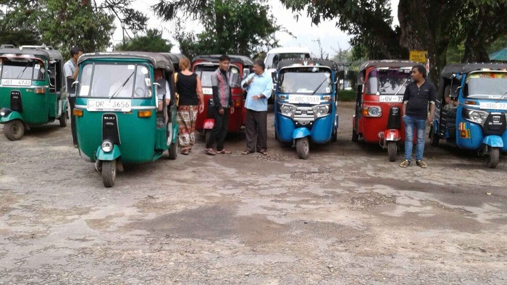 Picture 4 for Activity Tea Plantations By Tuk Tuk & Diyaluma Waterfall with Picnic