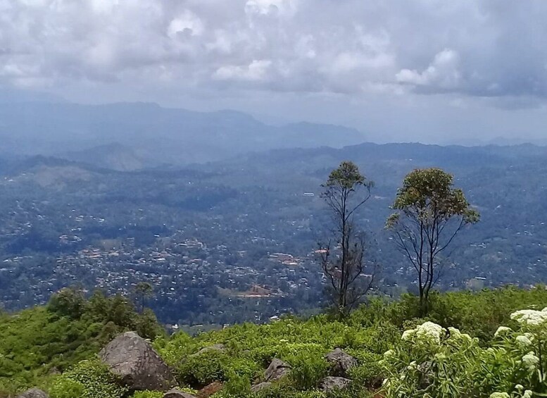 Picture 3 for Activity Tea Plantations By Tuk Tuk & Diyaluma Waterfall with Picnic