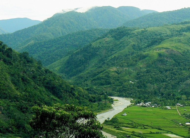 Picture 2 for Activity From Medan: Mount Leuser National Park Full-Day Trip