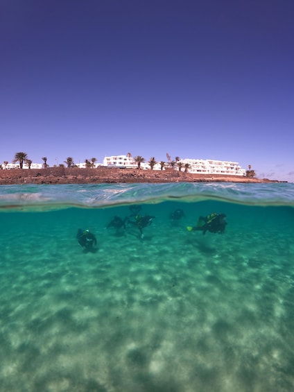 Picture 9 for Activity Lanzarote: Scuba Diving for Beginners - 1 Dive