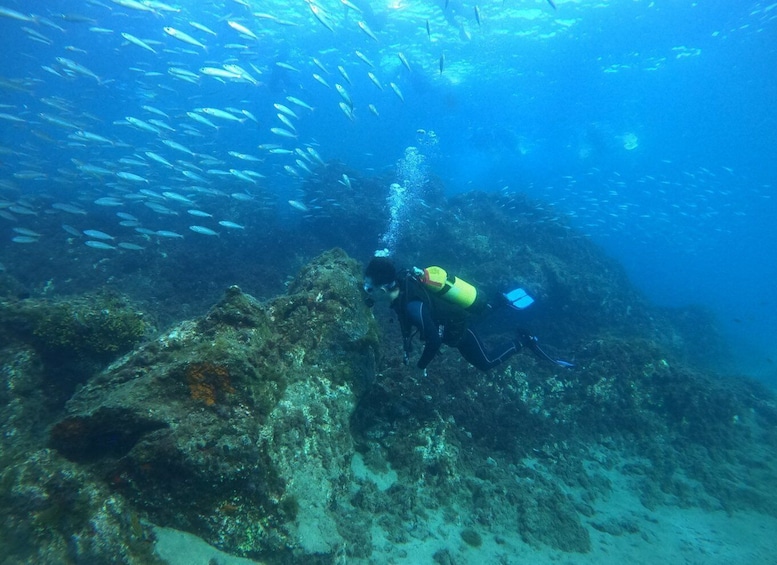 Picture 9 for Activity From Lanzarate: Introductory Adventure Dive at 6 Meters