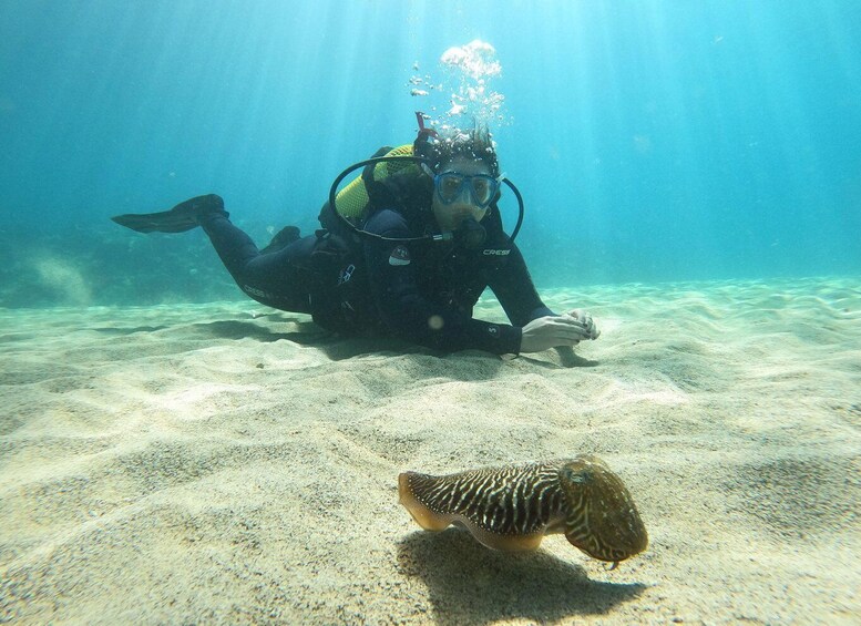 Picture 2 for Activity Lanzarote: Scuba Diving for Beginners - 1 Dive