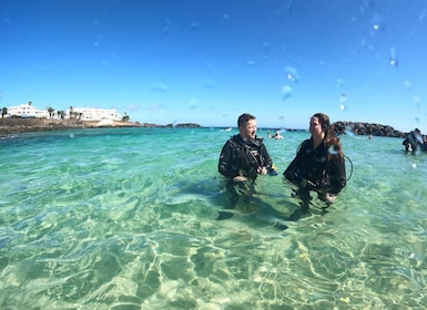 Da Lanzarote: Immersione introduttiva di avventura a 6 metri di profondità