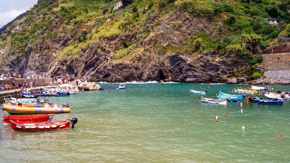 Picture 3 for Activity From Montecatini: Cinque Terre con Lucca Guided Tour