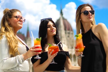 Budapest: Crociera Cocktail Downtown Budapest Edizione Invernale