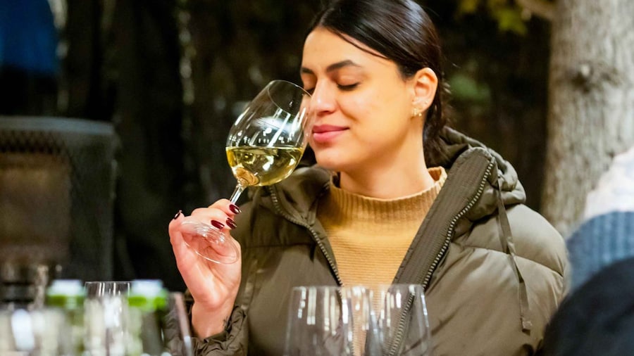 Concha y Toro Winery: Premium Experience at the Wine Center