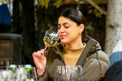 Bodega Concha y Toro: Experiencia Premium en el Centro del Vino