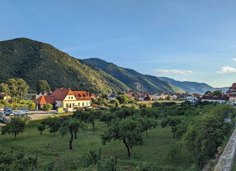 Picture 8 for Activity Vienna: Wachau Valley Private Kayak and Wine Tour