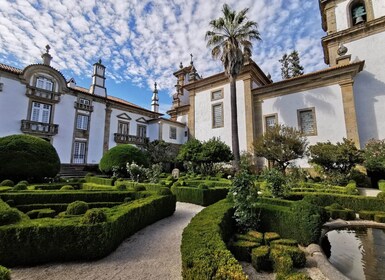 Portugal: Mateus Palace and Vila Real Private Tour