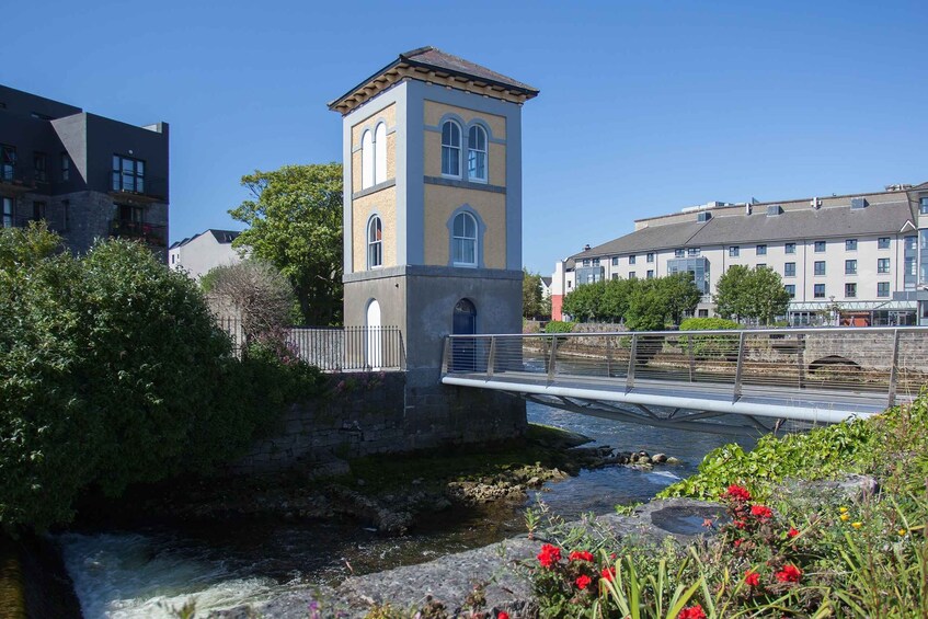 Picture 4 for Activity Galway: True local walking tour