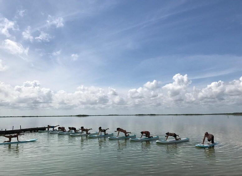 From Tulum: SUP Yoga Class in Sian Ka'an