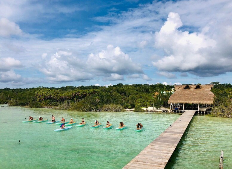 Picture 2 for Activity From Tulum: SUP Yoga Class in Sian Ka'an