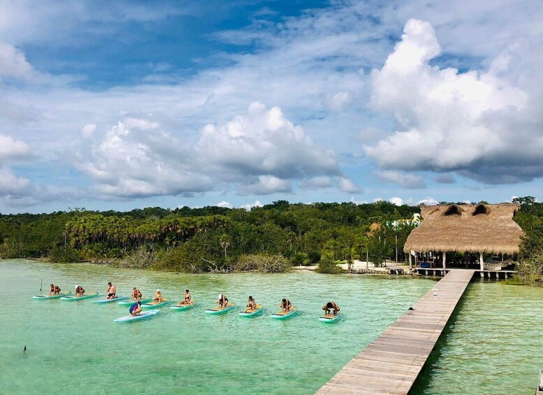 Picture 2 for Activity From Tulum: SUP Yoga Class in Sian Ka'an