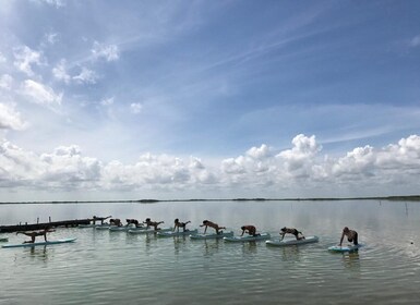 From Tulum: SUP Yoga Class in Sian Ka'an