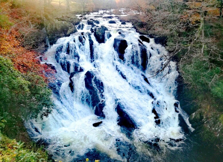 Picture 15 for Activity Snowdonia, Bodnant Gardens & Castles Private Tour